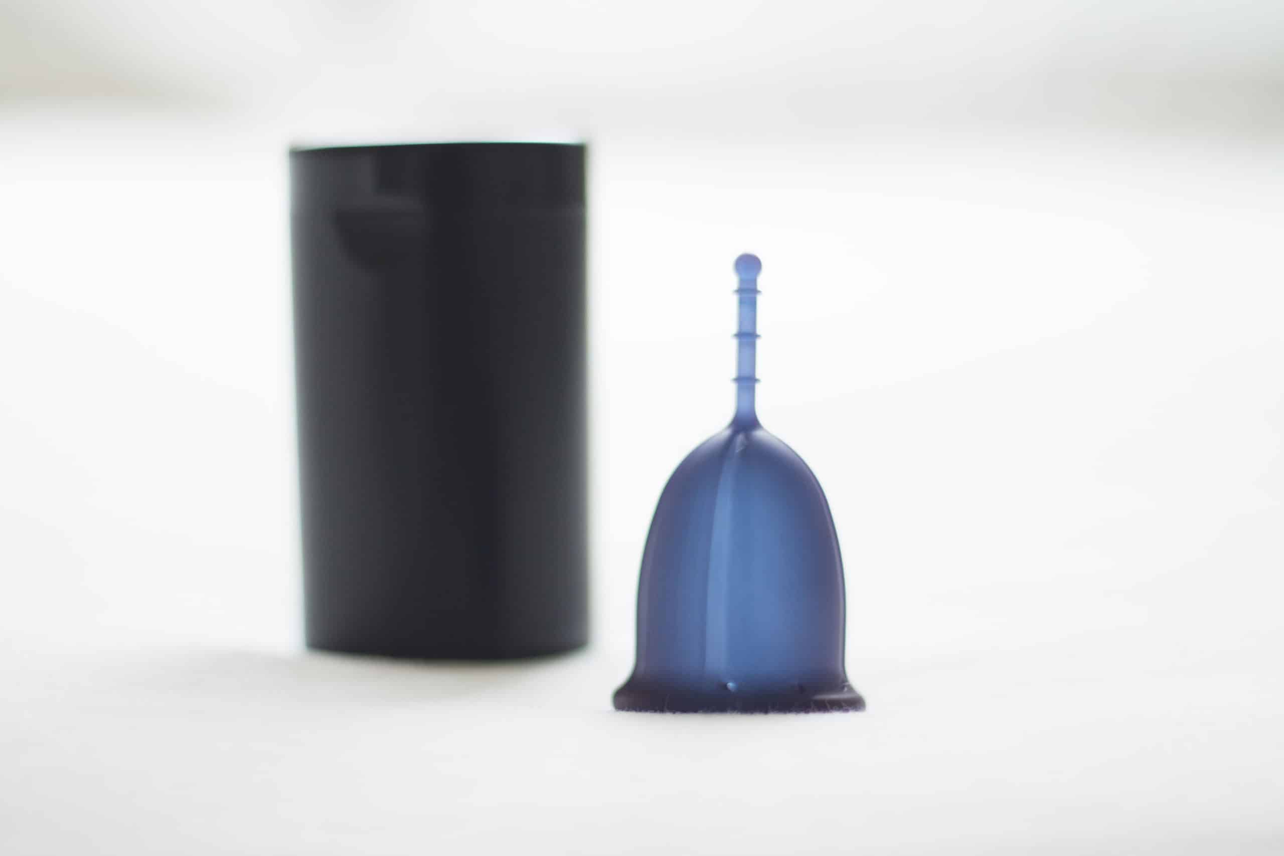 ARTOCT Boîte de stérilisateur Domestique Portable Outil de Nettoyage cosmétique équipement de Salon de beauté des Ong sous-vêtements stérilisateur de Coupe menstruelle stérilisation UV à LED 