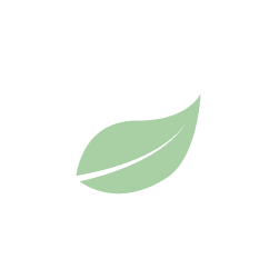 site_web-06