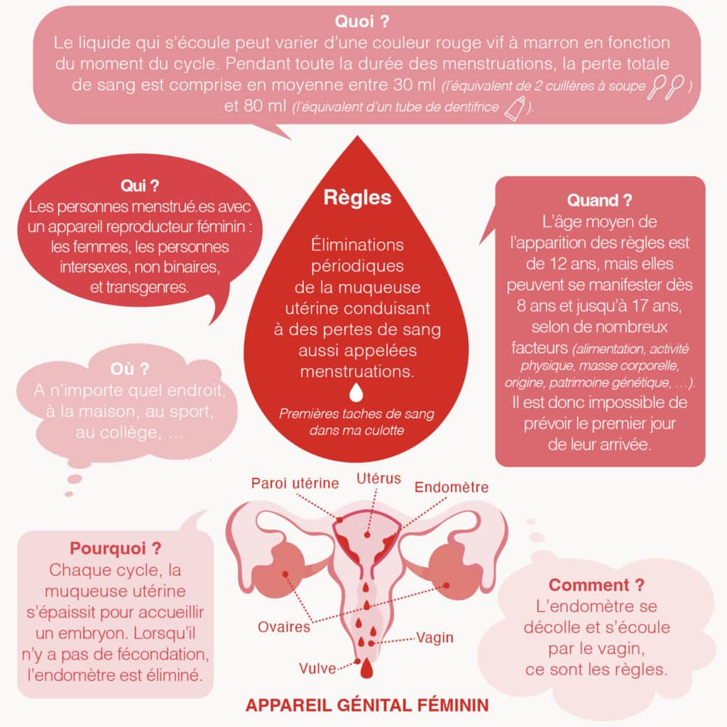 Le cycle menstruel, qu'est-ce que c'est ?